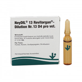 NEYDIL Nr.13 Revitorgan Dil.D 4 pro Ampullen vet.