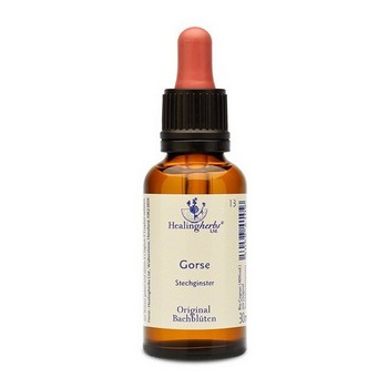 BACHBLÜTEN Gorse Healing Herbs Tropfen